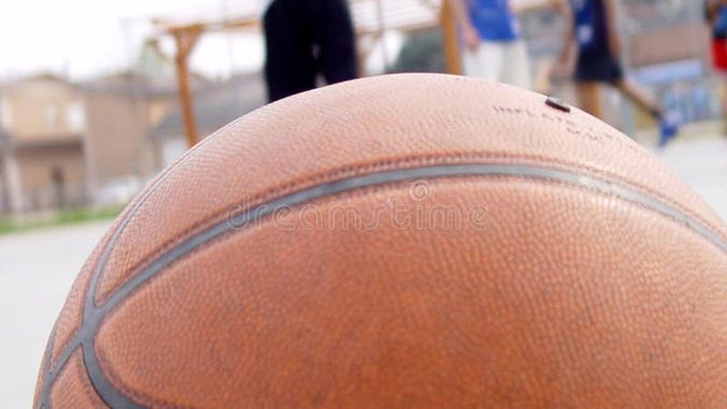 园林工程报价软件：揭秘其核心功能与选型要点