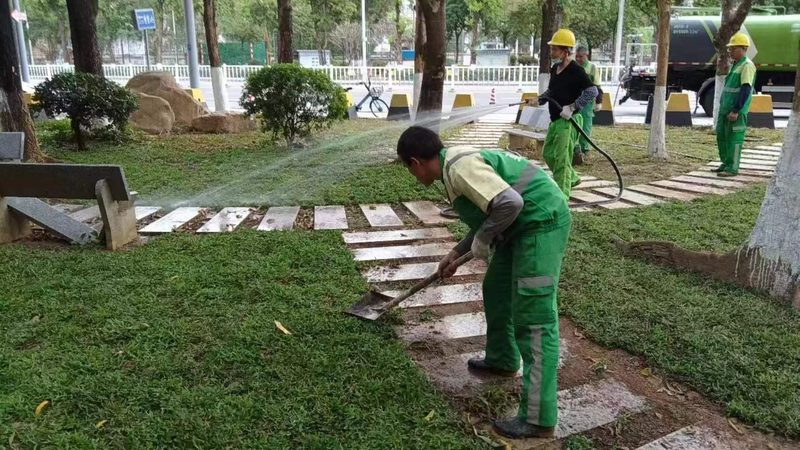 道路绿化乔木种植，揭秘高效流程步骤