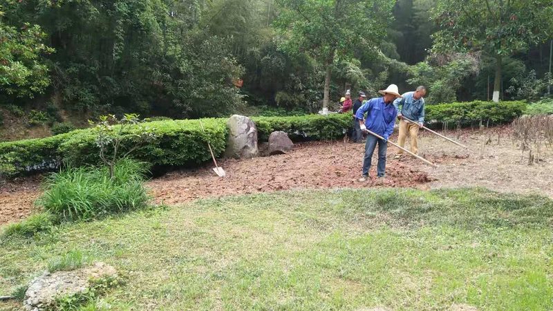 绿化养护公司电话报价：如何精准评估与选择？**