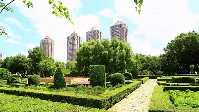 草坪铺设维护保养：关键步骤与常见误区