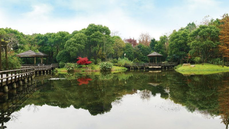 花园景观设计公司如何选择？关键在于细节与标准