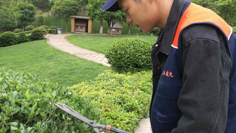 边坡绿化三维网施工步骤详解