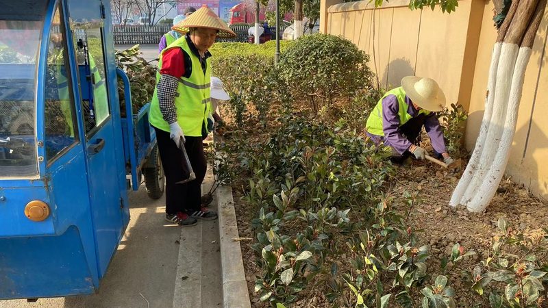 屋顶绿化种植层厚度标准