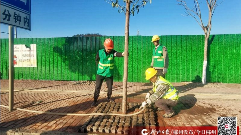 市政绿化工程招标，如何筛选优质供应商？**