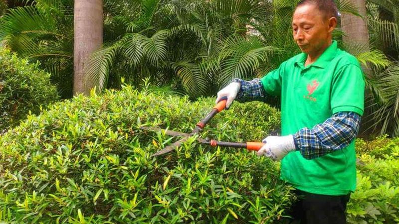 北京道路绿化养护公司如何选择？关键在于这些因素**