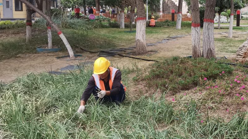 顶楼露台花园设计，成本如何控制？**
