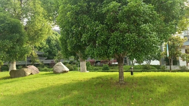 小区绿化工程方案设计：五大关键点解析**