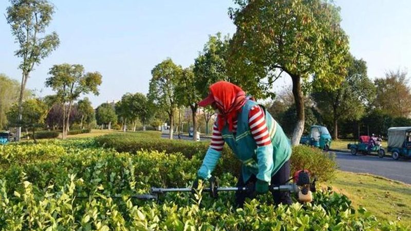 市政绿化土建技术参数流程全解析