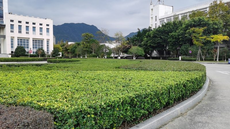 立体绿化墙施工价格每平米：揭秘成本构成与影响因素