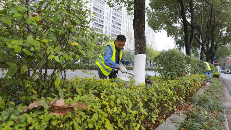 立体绿化墙造价解析：成本构成与预算制定
