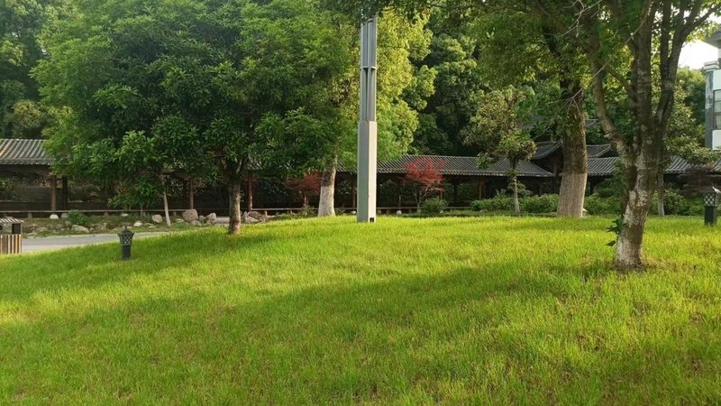 道路绿化养护公司排名：如何科学评估与选择