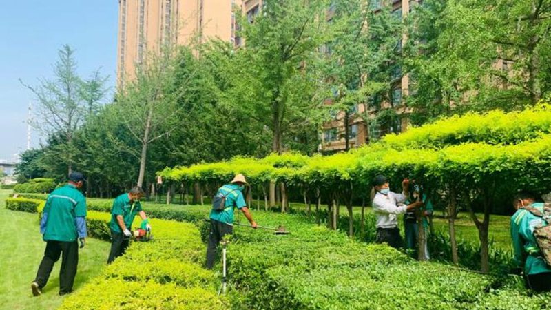 绿化资质与市政资质：共筑绿色城市基石**